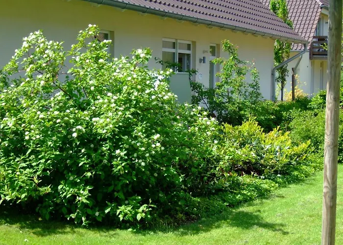 4 Sterne Feuerstein Mit Balkon Apartment Lobbe